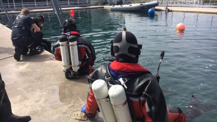 Foto van meedere brandweerduikers die op de rand van het water zitten.